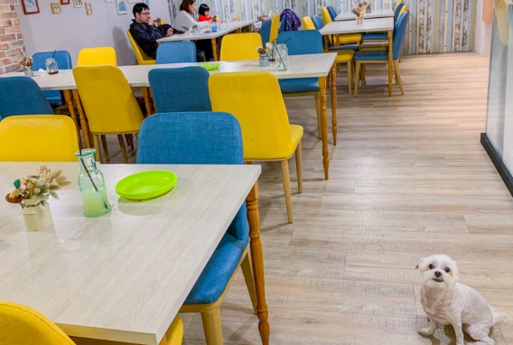新竹寵物友善餐廳