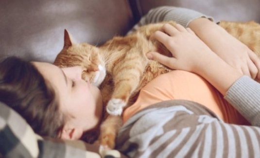 寵物貓親密互動