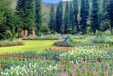 深圳自由行規劃