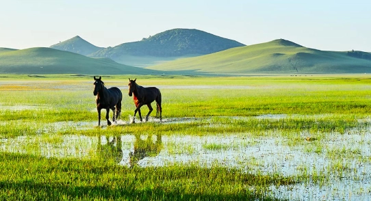 內蒙古旅行攻略