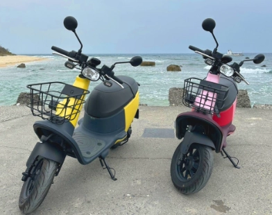 電動車駕照規定