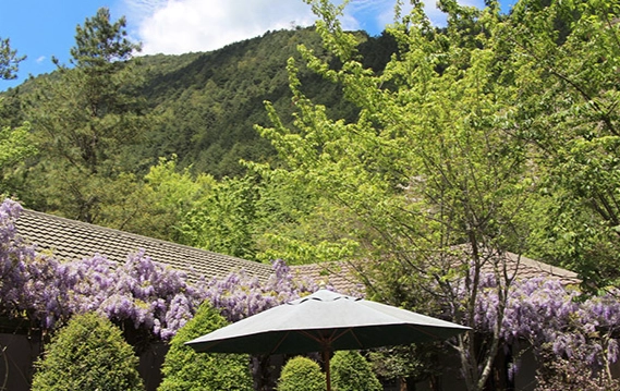 武陵農場行程規劃