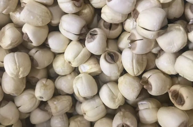 如何去除蓮子芯