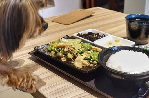 桃園素食餐廳推薦