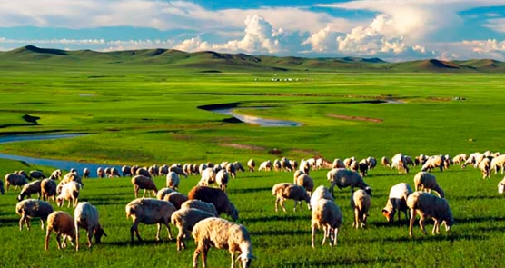 內蒙古旅遊注意事項