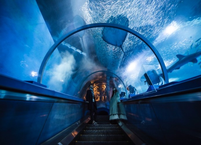 八景島海島樂園門票