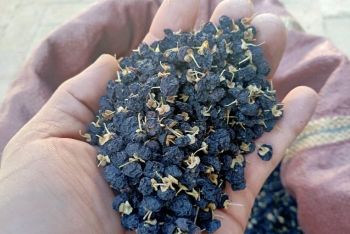 黑枸杞每日飲用