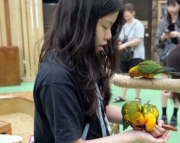 宜蘭室內動物園