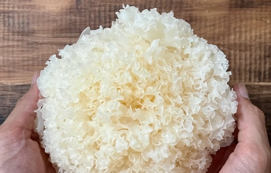 白木耳壞掉判斷