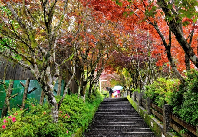 太平山國家森林遊樂區