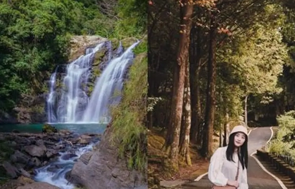 森林遊樂區攻略