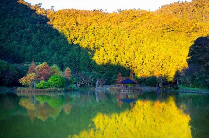 太平山國家森林遊樂區氣候