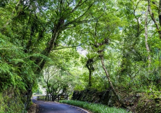 台灣森林遊樂區