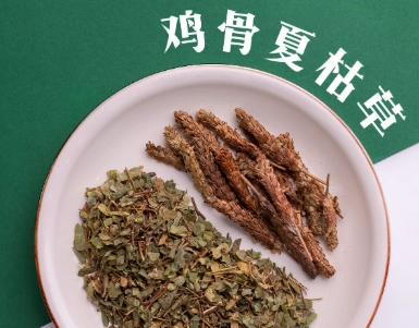 雞骨草涼茶副作用