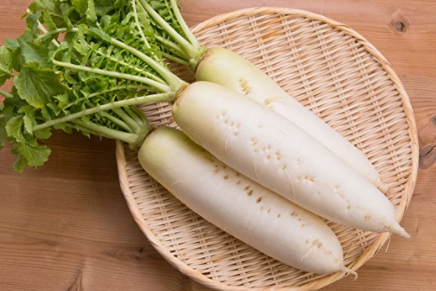 白蘿蔔副作用