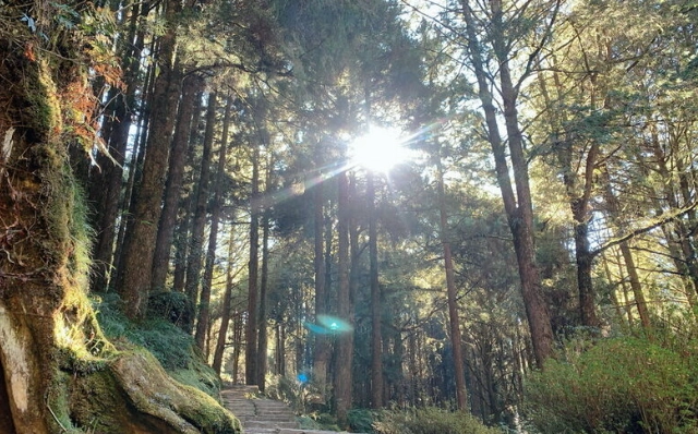 阿里山交通指南