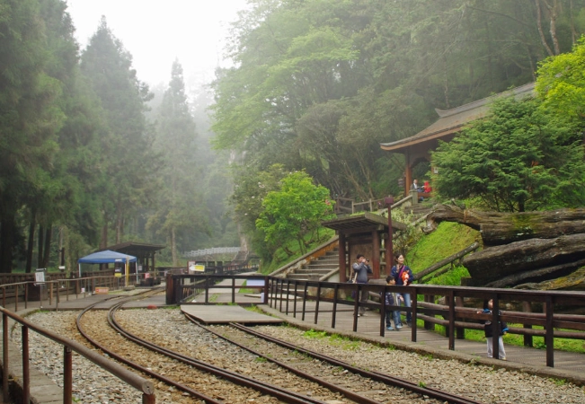 阿里山森林遊樂區交通