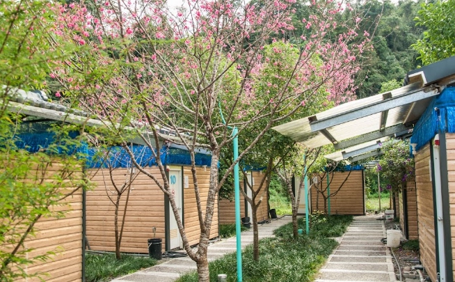 大同櫻花溫泉旅遊