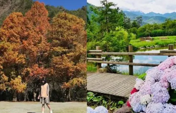 台灣森林遊樂區