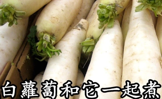 白蘿蔔為什麼苦