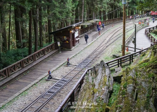 阿里山交通攻略