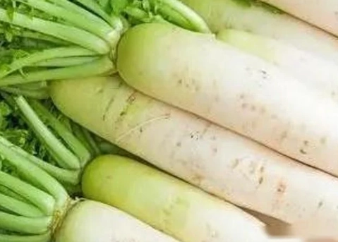 誰不能吃白蘿蔔