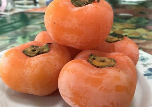 硬柿子變軟技巧