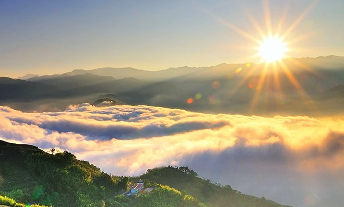 阿里山森林遊樂區導覽