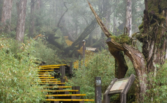 宜蘭太平山路線