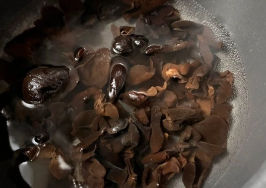 隔夜雲耳食品安全