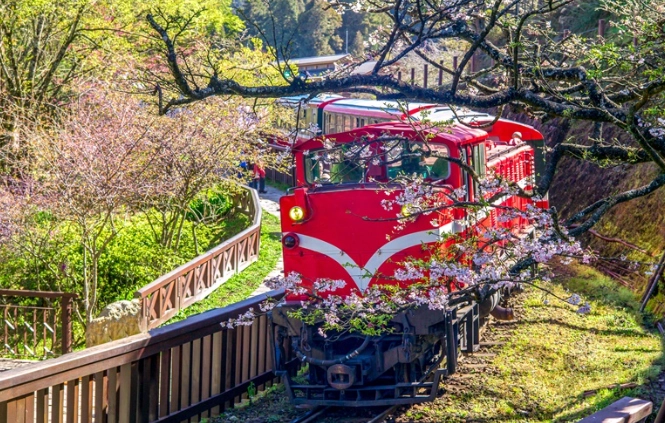 阿里山交通指南