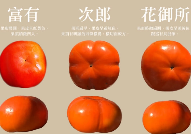 柿子品種比較