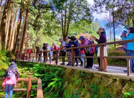 阿里山導覽服務