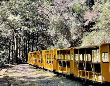 太平山旅遊攻略