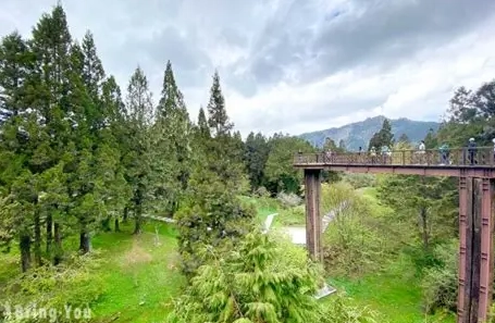 阿里山森林遊樂區交通