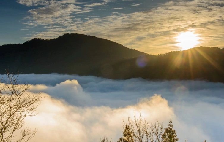 太平山國家森林遊樂區氣候