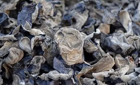 木耳泡發後能放幾天