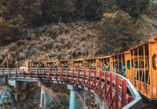 太平山國家森林遊樂區旅遊
