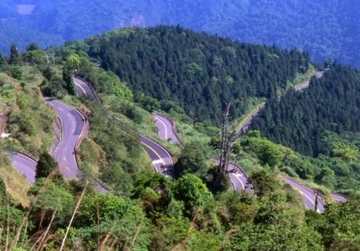 太平山交通資訊