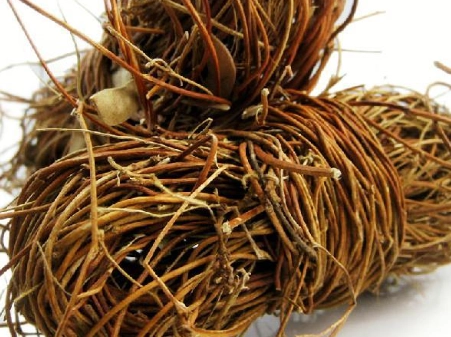 雞骨草涼茶好處