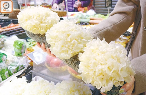 乾雪耳如何保存