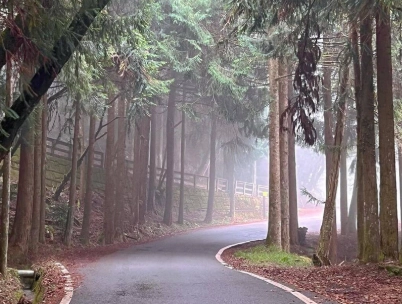 森林遊樂區攻略