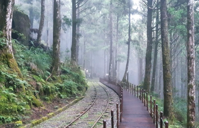 太平山旅遊天氣建議