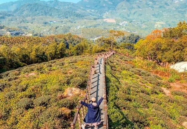 阿里山行程規劃