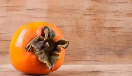 澀柿子食用技巧