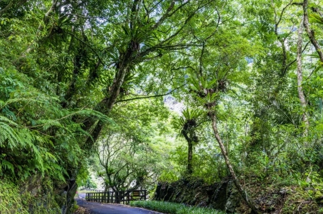 台灣森林遊樂區推薦