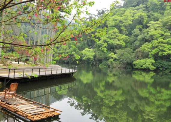 桃園慈湖行程