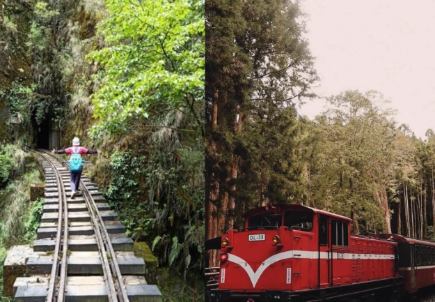 阿里山自駕遊攻略