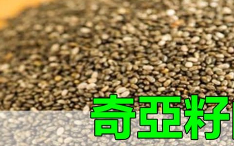 奇亞籽營養