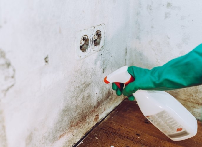 檸檬酸清潔方法